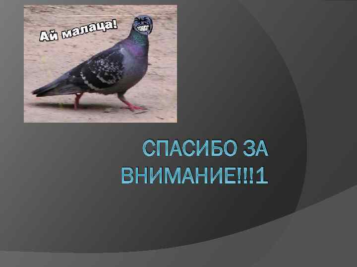 СПАСИБО ЗА ВНИМАНИЕ!!!1 