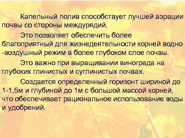 Капельный полив способствует лучшей аэрации почвы со стороны междурядий. Это позволяет обеспечить более благоприятный