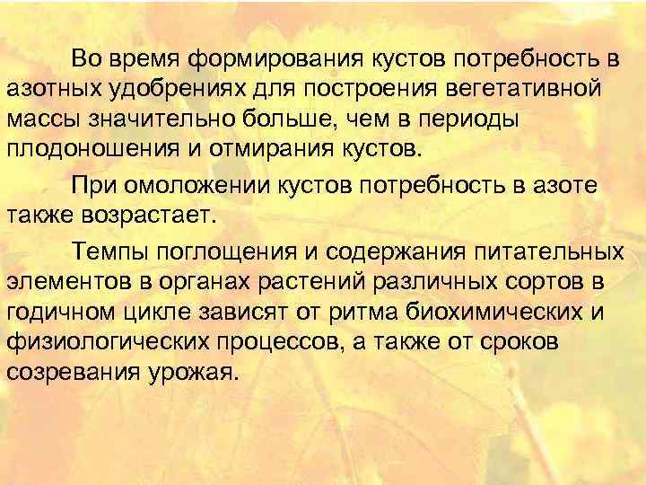 Во время формирования кустов потребность в азотных удобрениях для построения вегетативной массы значительно больше,