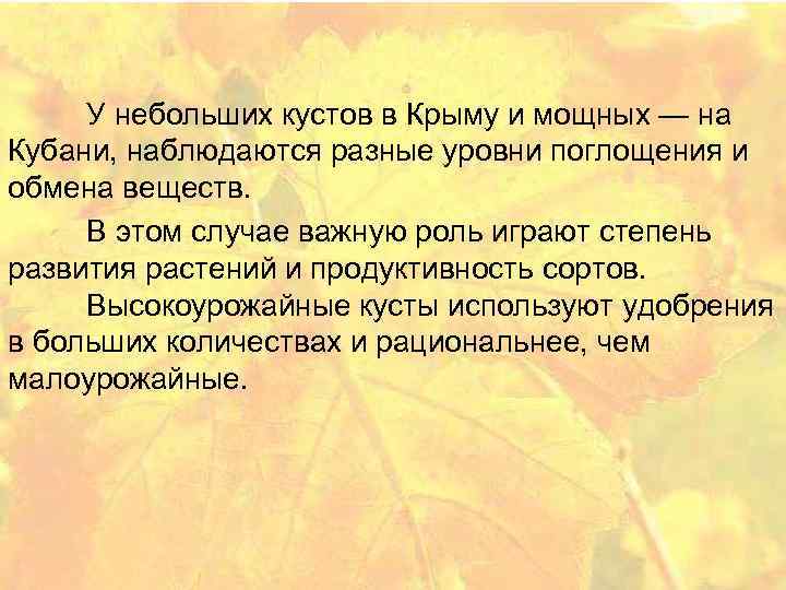  У небольших кустов в Крыму и мощных — на Кубани, наблюдаются разные уровни