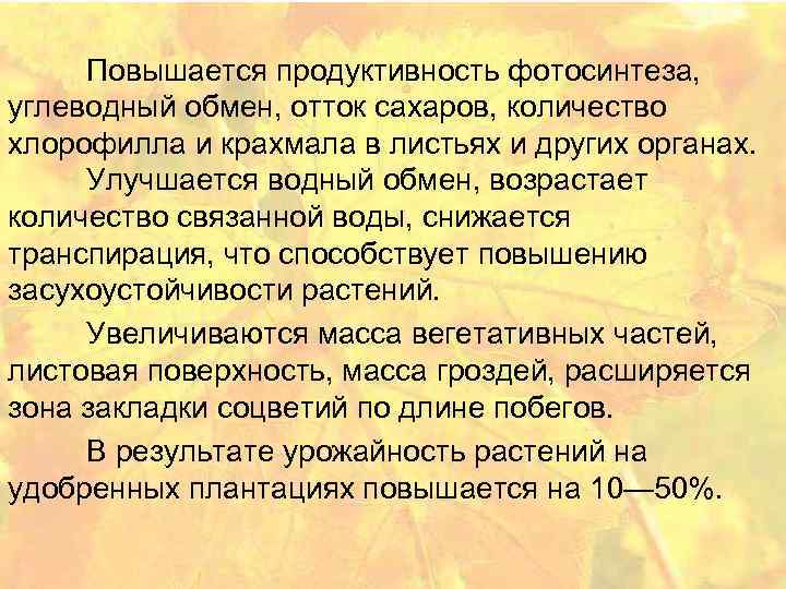 Повышается продуктивность фотосинтеза, углеводный обмен, отток сахаров, количество хлорофилла и крахмала в листьях и