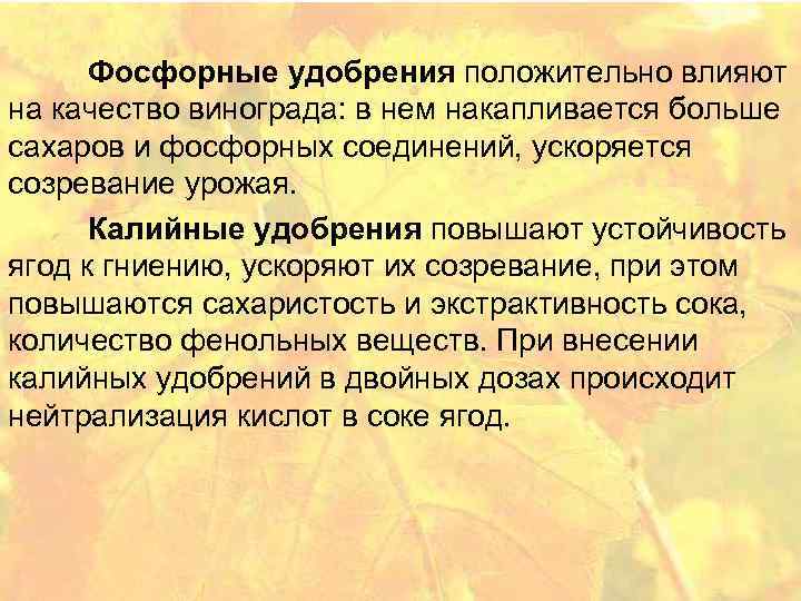 Фосфорные удобрения положительно влияют на качество винограда: в нем накапливается больше сахаров и фосфорных