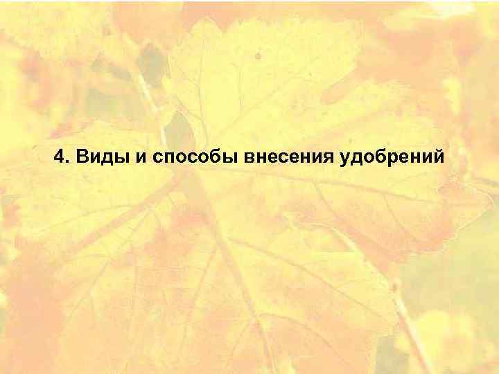 4. Виды и способы внесения удобрений 