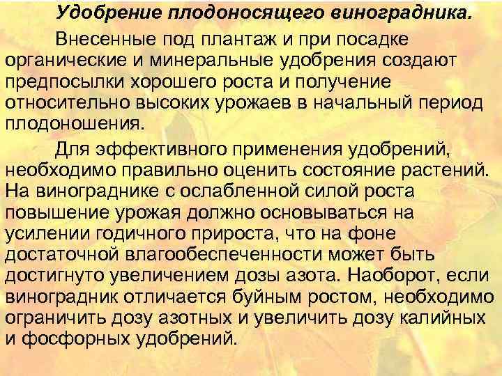 Удобрение плодоносящего виноградника. Внесенные под плантаж и при посадке органические и минеральные удобрения создают