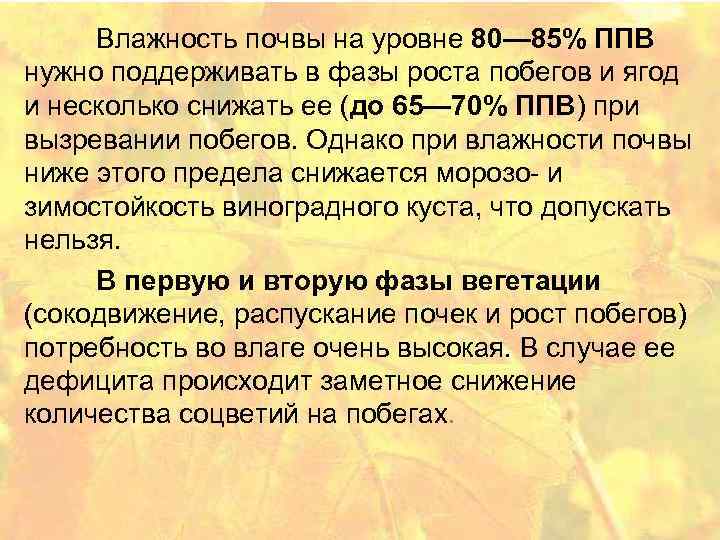 Влажность почвы на уровне 80— 85% ППВ нужно поддерживать в фазы роста побегов и