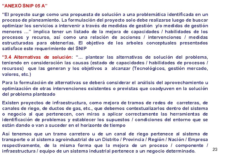 “ANEXO SNIP 05 A” “El proyecto surge como una propuesta de solución a una