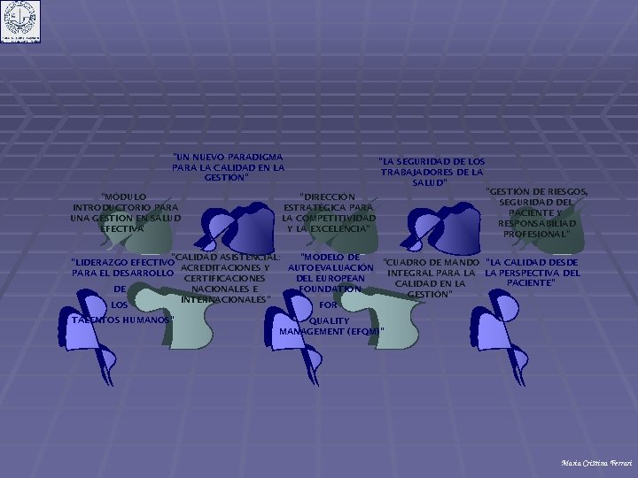 “UN NUEVO PARADIGMA PARA LA CALIDAD EN LA GESTIÓN” “MÓDULO INTRODUCTORIO PARA UNA GESTION