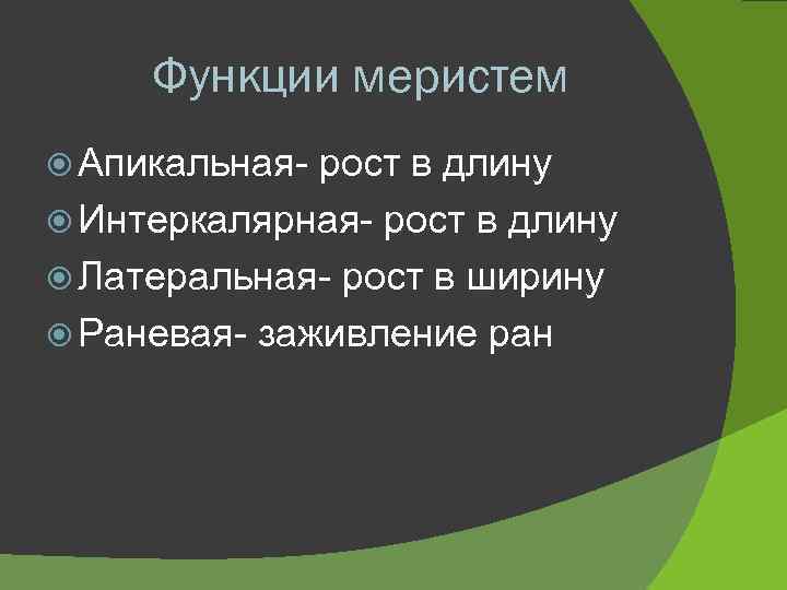 Функции меристем Апикальная- рост в длину Интеркалярная- рост в длину Латеральная- рост в ширину