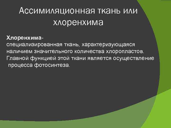 Ассимиляционная ткань или хлоренхима Хлоренхимаспециализированная ткань, характеризующаяся наличием значительного количества хлоропластов. Главной функцией этой