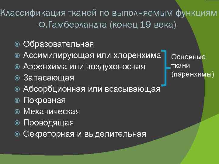 Классификация тканей по выполняемым функциям Ф. Гамберландта (конец 19 века) Образовательная Ассимилирующая или хлоренхима