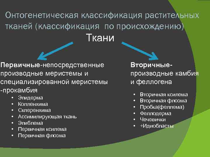 Онтогенетическая классификация растительных тканей (классификация по происхождению) Ткани Первичные-непосредственные производные меристемы и специализированной меристемы