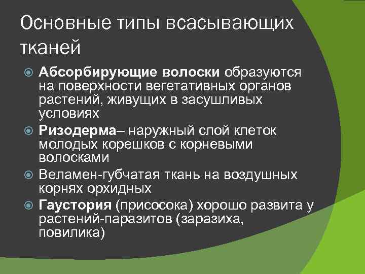 Основные типы всасывающих тканей Абсорбирующие волоски образуются на поверхности вегетативных органов растений, живущих в