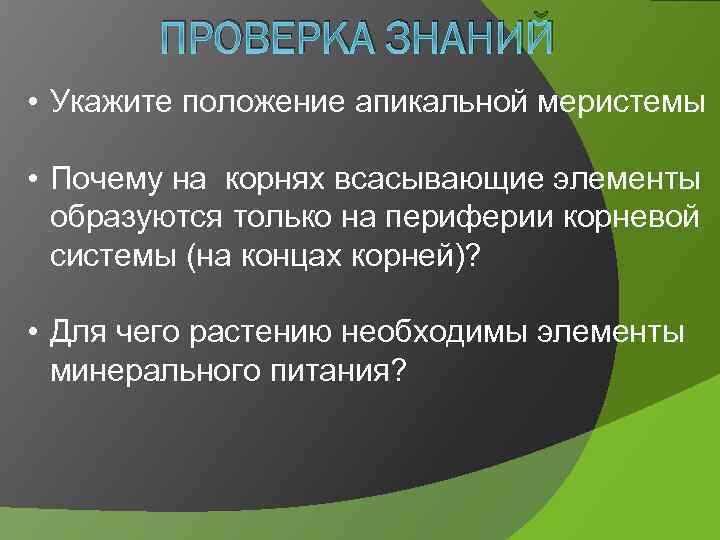 ПРОВЕРКА ЗНАНИЙ • Укажите положение апикальной меристемы • Почему на корнях всасывающие элементы образуются