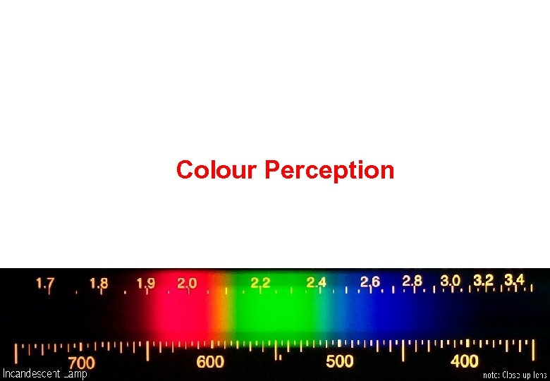 Colour Perception 