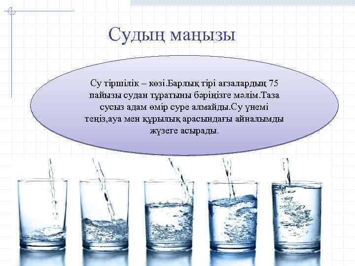 Судың маңызы Су тіршілік – көзі. Барлық тірі ағзалардың 75 пайызы судан тұратыны бәріңізге