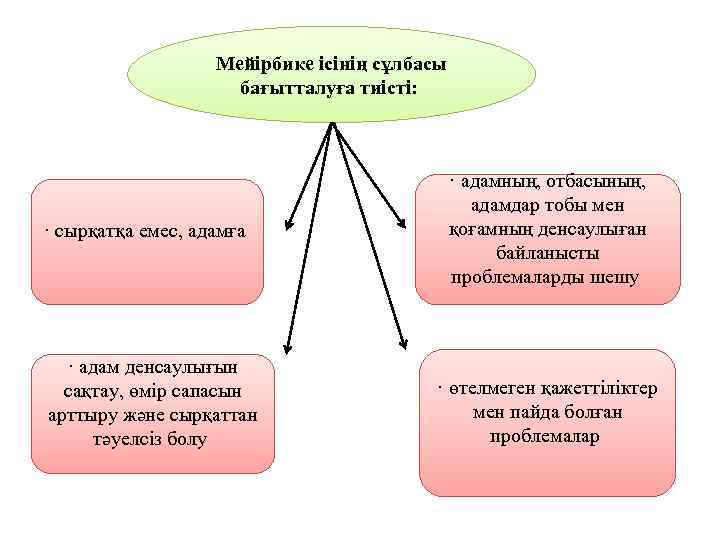 Мейірбике ісінің сұлбасы бағытталуға тиісті: · сырқатқа емес, адамға · адам денсаулығын сақтау, өмір