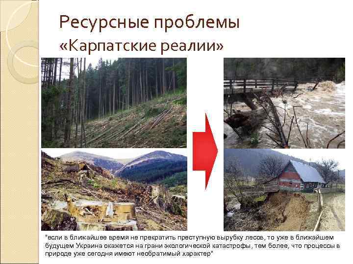 Ресурсные проблемы «Карпатские реалии» "если в ближайшее время не прекратить преступную вырубку лесов, то