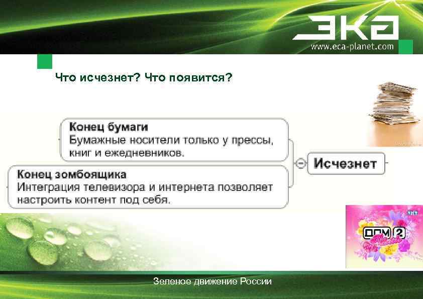 Что исчезнет? Что появится? Зеленое движение России 