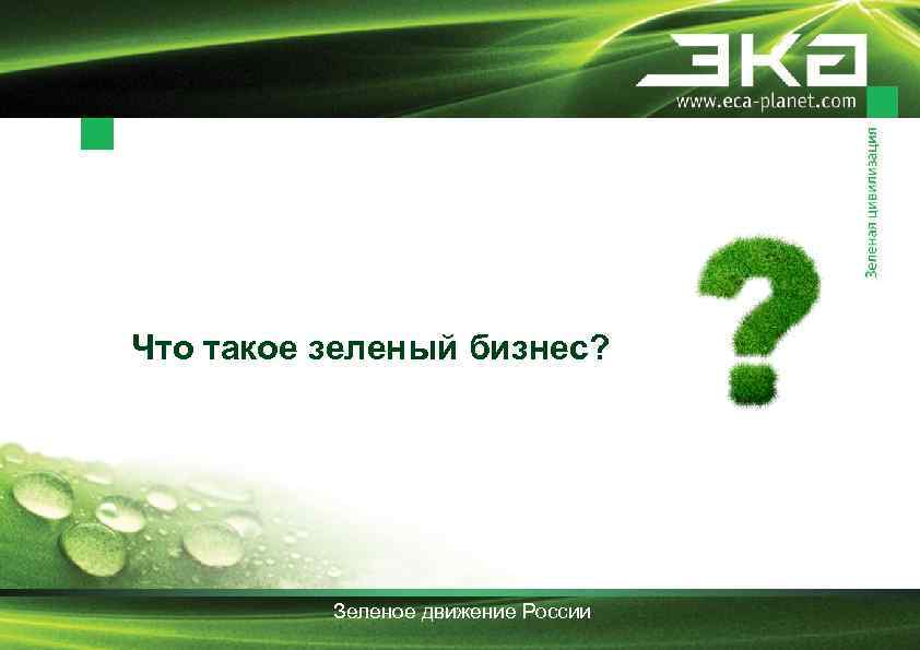 Что такое зеленый бизнес? Зеленое движение России 