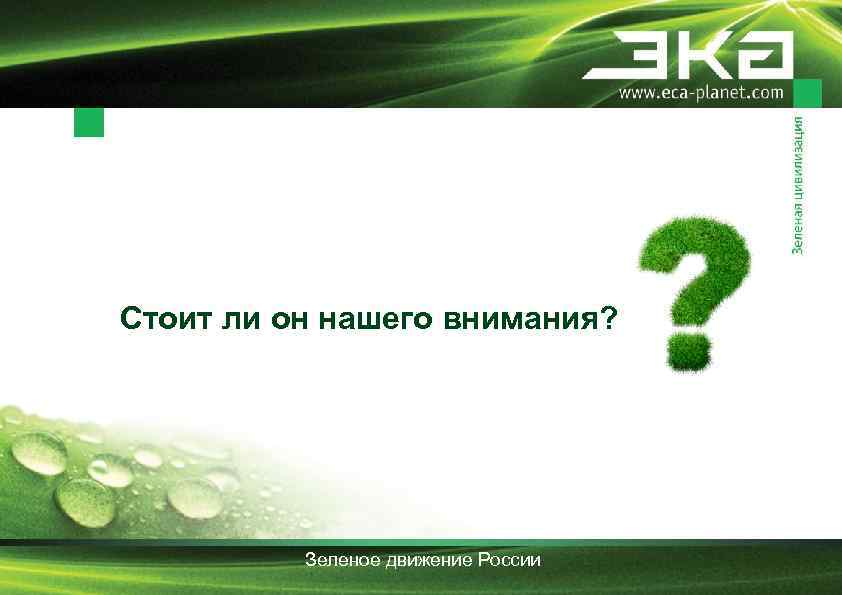 Стоит ли он нашего внимания? Зеленое движение России 