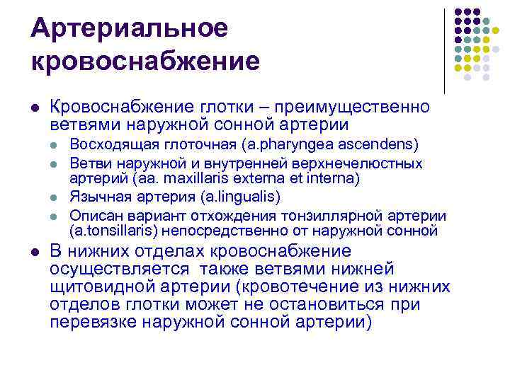 Артериальное кровоснабжение l Кровоснабжение глотки – преимущественно ветвями наружной сонной артерии l l l