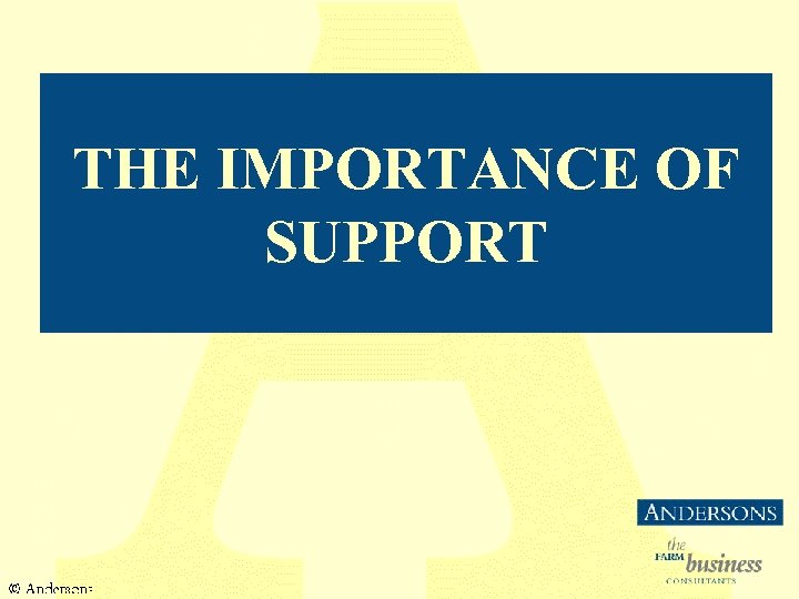 THE IMPORTANCE OF SUPPORT 