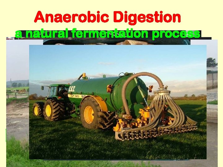 Anaerobic Digestion a natural fermentation process Biogas Renewable Electricity & Heat 38° C Bio