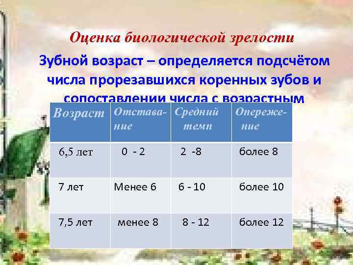 Оценка биологической зрелости Зубной возраст – определяется подсчётом числа прорезавшихся коренных зубов и сопоставлении