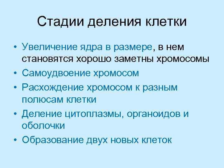 Увеличение клеток