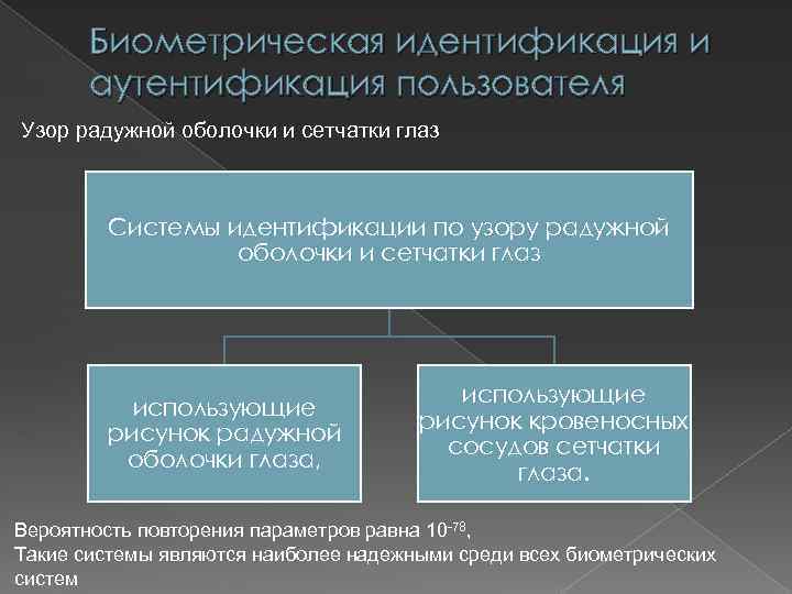 Биометрическая идентификация и аутентификация пользователя Узор радужной оболочки и сетчатки глаз Системы идентификации по