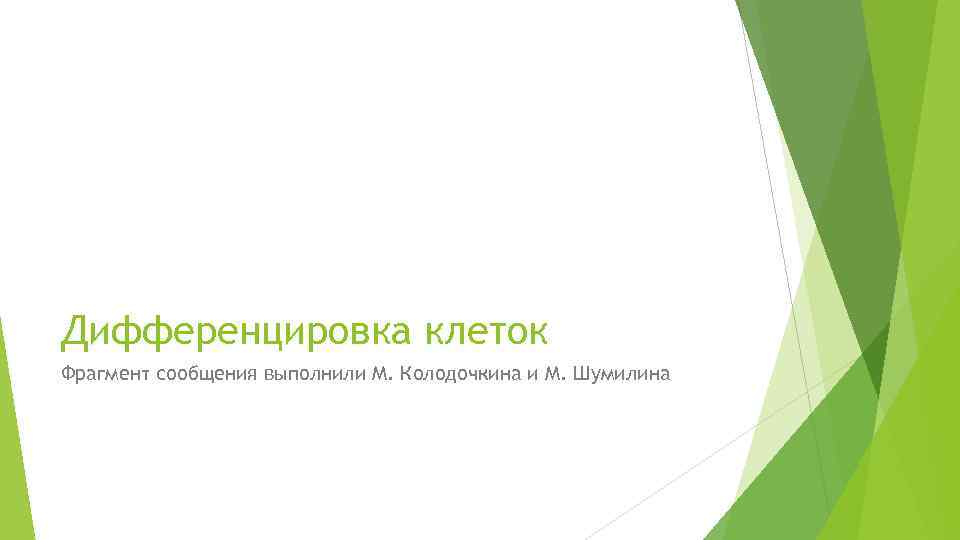 Фрагмент информации 4. Просмотр презентации.