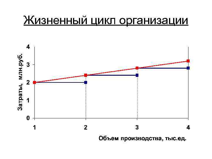 Жизненный цикл организации 