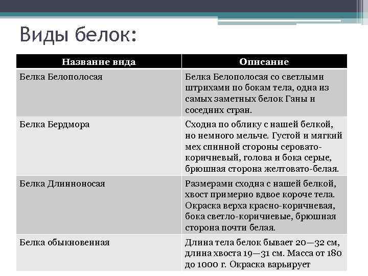 Виды белок: Название вида Описание Белка Белополосая со светлыми штрихами по бокам тела, одна