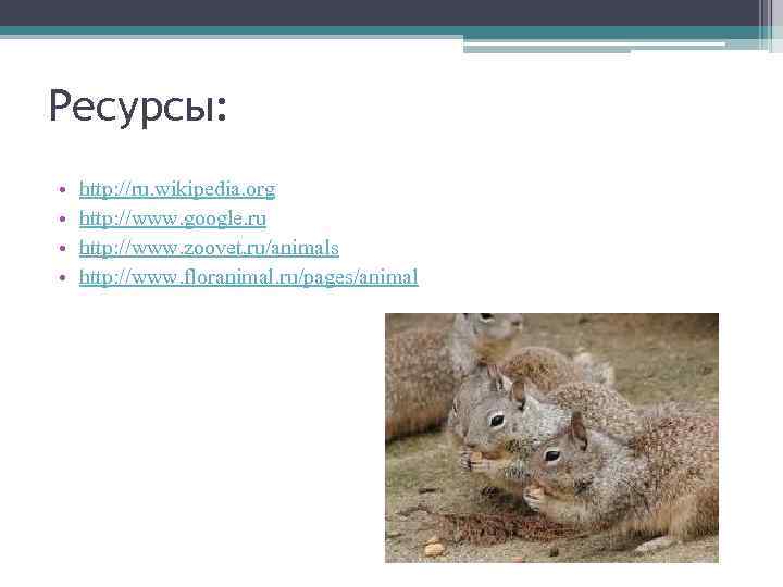 Ресурсы: • • http: //ru. wikipedia. org http: //www. google. ru http: //www. zoovet.