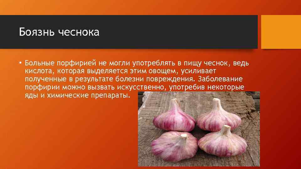 Боязнь чеснока • Больные порфирией не могли употреблять в пищу чеснок, ведь кислота, которая