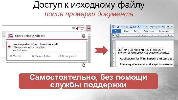 Доступ к исходному файлу после проверки документа Самостоятельно, без помощи службы поддержки 