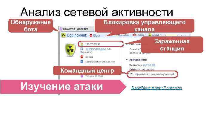 Анализ сетевой активности Обнаружение бота Блокировка управляющего канала Зараженная станция Командный центр Изучение атаки