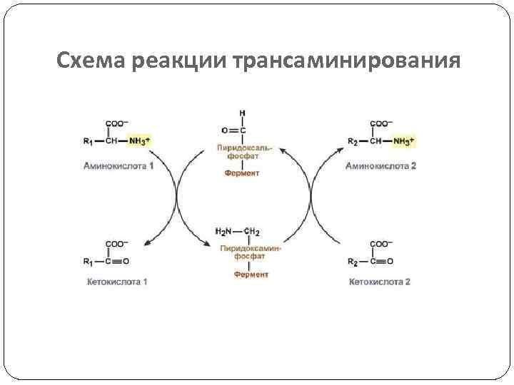 Схема реакции это