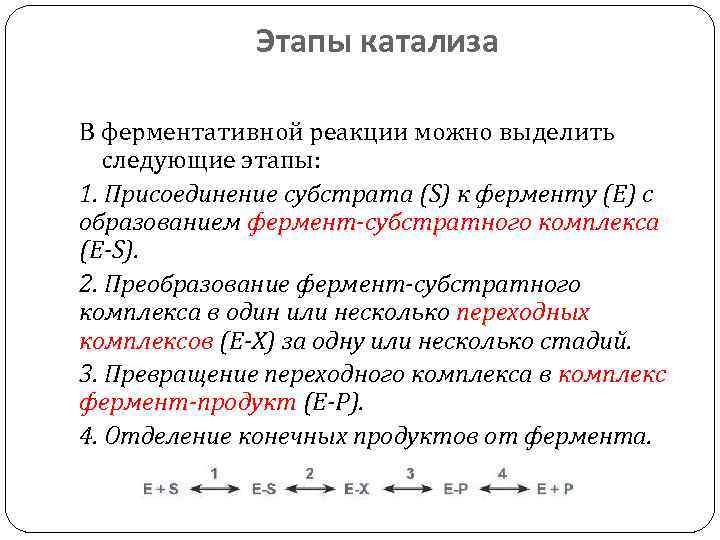 Схема ферментативной реакции