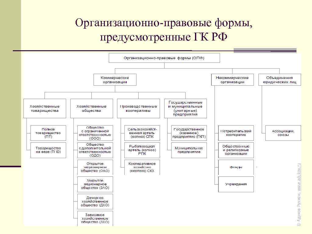Организационно правовая форма структура. Организационно-правовые формы юридических лиц ГК РФ таблица.