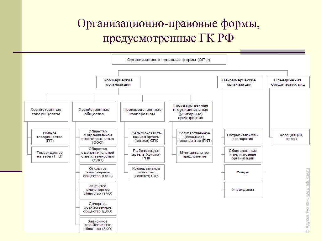 Организационно правовые формы предприятия схема