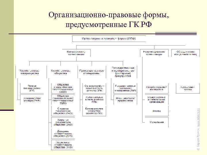 Организационно-правовые формы, предусмотренные ГК РФ. Сложный план по теме организационно правовые формы