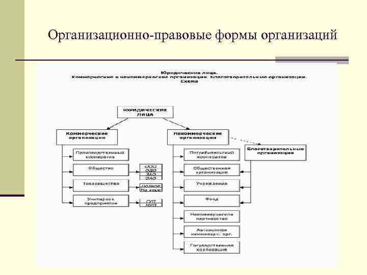 Организационно правовые формы план егэ