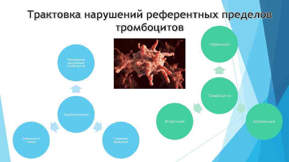 Трактовка нарушений референтных пределов тромбоцитов Первичный Повышенное разрушение тромбоцитов Тромбоцитоз Тромбоцитопения Вторичный Смешанного генеза