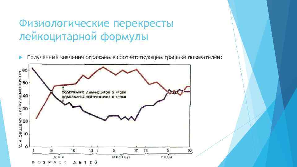 Физиологические перекресты лейкоцитарной формулы Полученные значения отражаем в соответствующем графике показателей: 