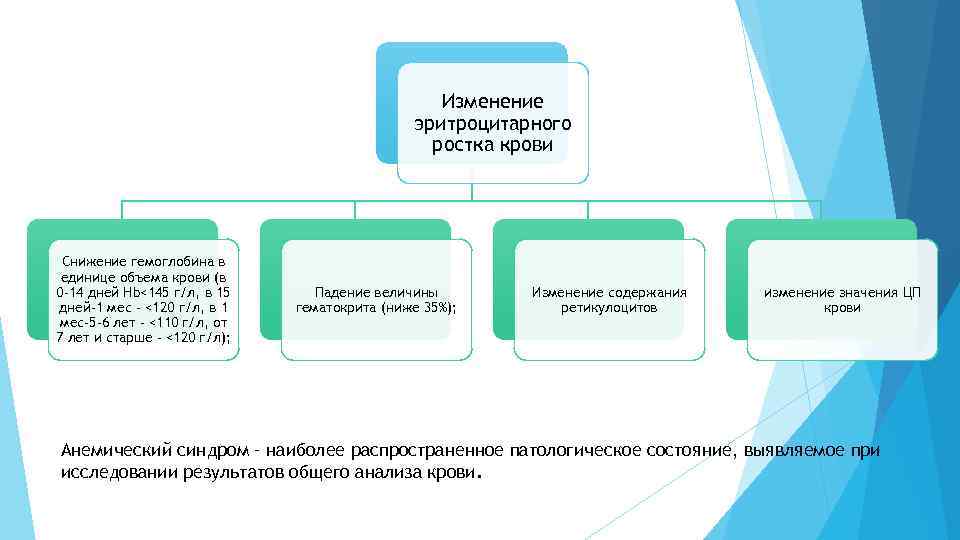 Изменение эритроцитарного ростка крови Снижение гемоглобина в единице объема крови (в 0 -14 дней