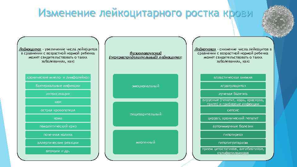 Изменение лейкоцитарного ростка крови Лейкоцитоз – увеличение числа лейкоцитов в сравнении с возрастной нормой