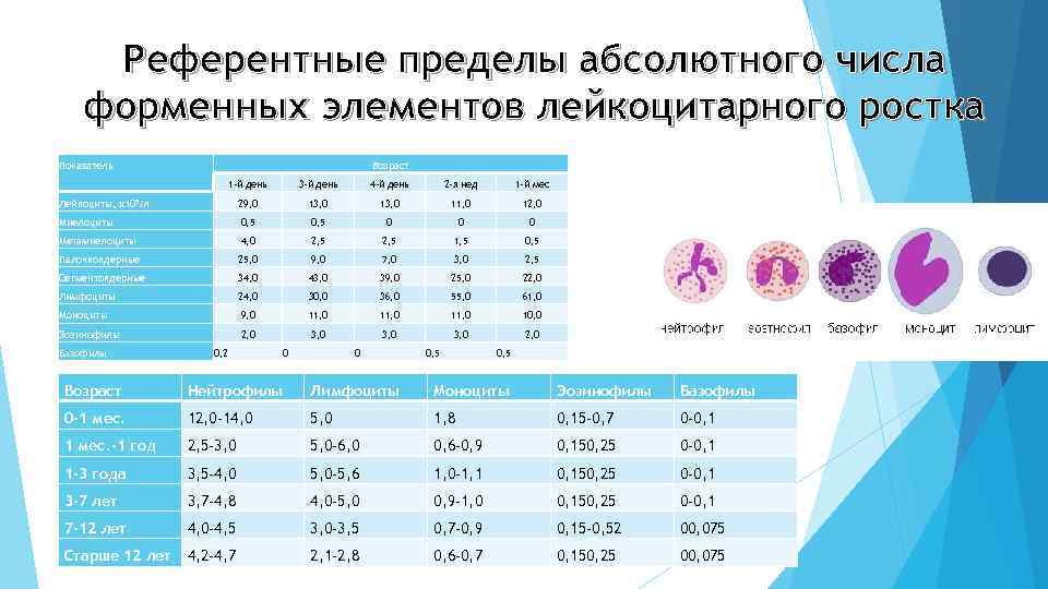 Референтные пределы абсолютного числа форменных элементов лейкоцитарного ростка Показатель Возраст 1 -й день 3