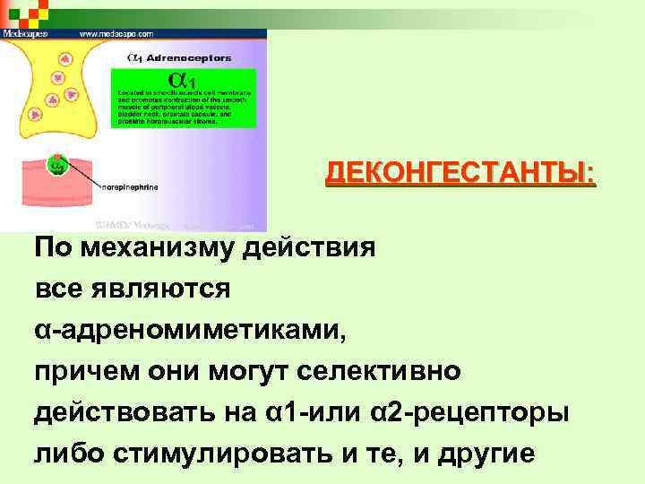 ДЕКОНГЕСТАНТЫ: По механизму действия все являются α-адреномиметиками, причем они могут селективно действовать на α