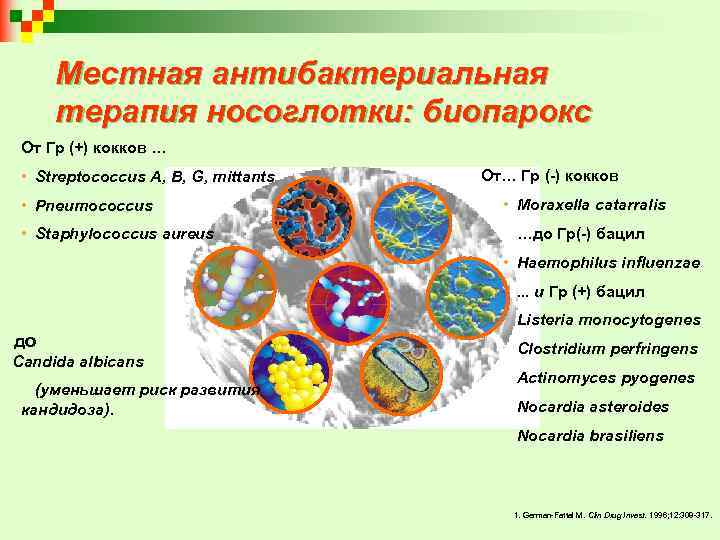 Местная антибактериальная терапия носоглотки: биопарокс От Гр (+) кокков … • Streptococcus А, В,